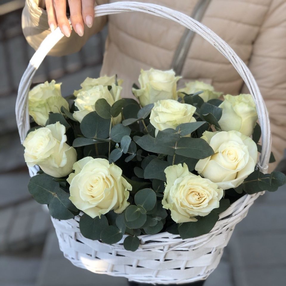 Королевство сноведений